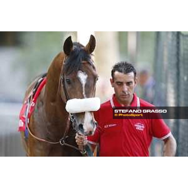 Dylan Mouth Gran Premio di Milano Milano - San Siro racecourse,7th june 2015 ph.Stefano Grasso