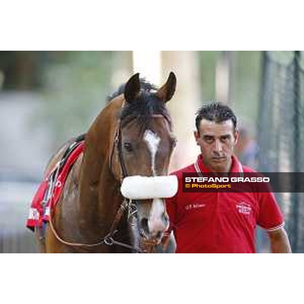 Dylan Mouth Gran Premio di Milano Milano - San Siro racecourse,7th june 2015 ph.Stefano Grasso