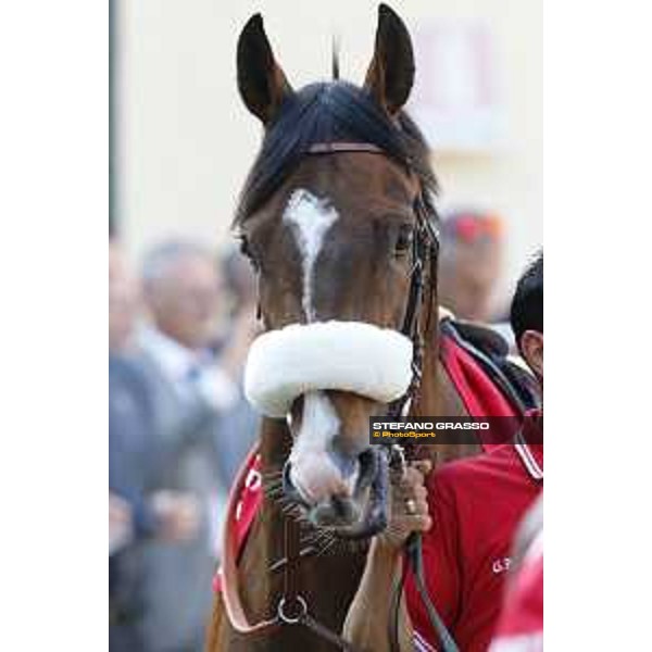 Dylan Mouth Gran Premio di Milano Milano - San Siro racecourse,7th june 2015 ph.Stefano Grasso