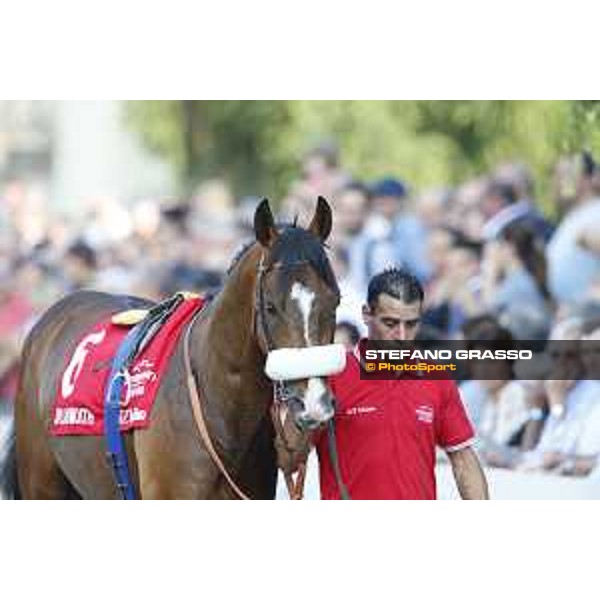 Dylan Mouth Gran Premio di Milano Milano - San Siro racecourse,7th june 2015 ph.Stefano Grasso