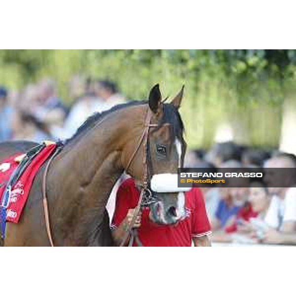 Dylan Mouth Gran Premio di Milano Milano - San Siro racecourse,7th june 2015 ph.Stefano Grasso