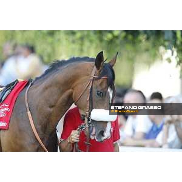 Dylan Mouth Gran Premio di Milano Milano - San Siro racecourse,7th june 2015 ph.Stefano Grasso