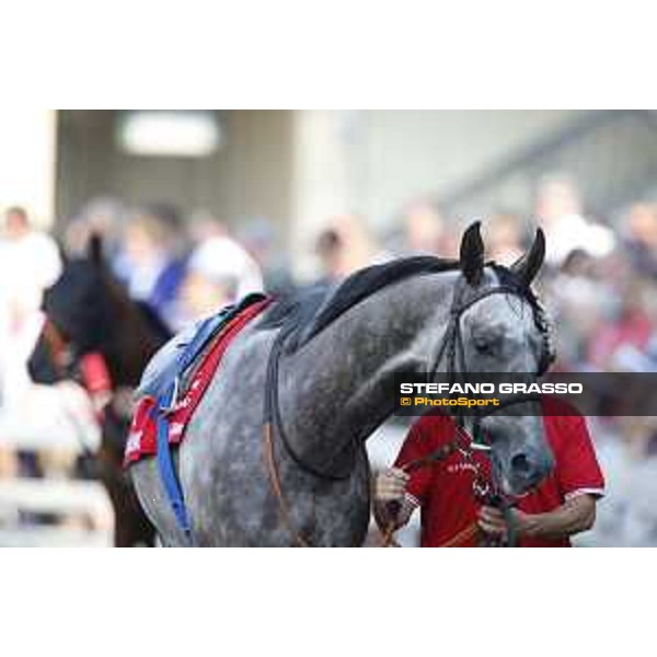Billabong Gran Premio di Milano Milano - San Siro racecourse,7th june 2015 ph.Stefano Grasso