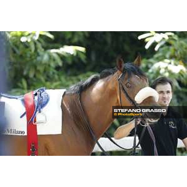 Milano - San Siro galopp racecourse,7th june 2015 ph.Stefano Grasso/Trenno srl