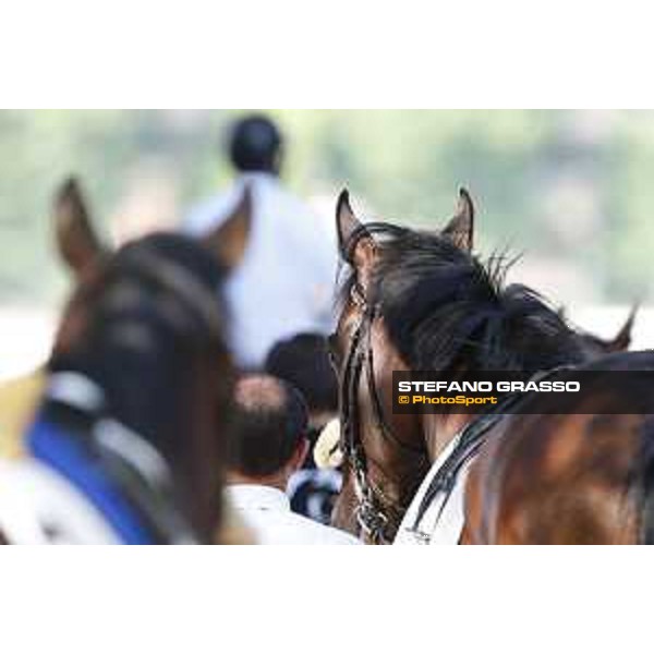 Milano - San Siro galopp racecourse,7th june 2015 ph.Stefano Grasso/Trenno srl