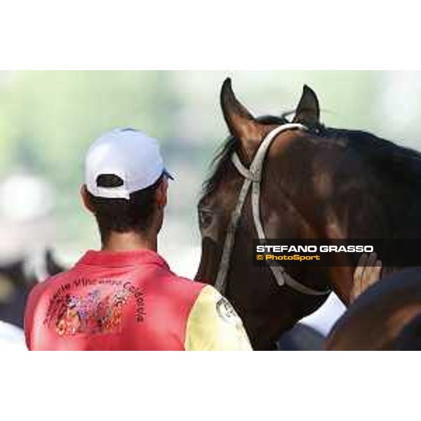 Milano - San Siro galopp racecourse,7th june 2015 ph.Stefano Grasso/Trenno srl