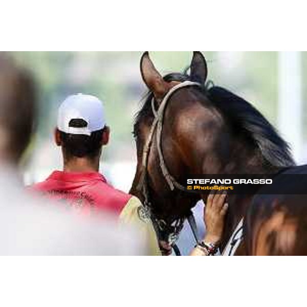 Milano - San Siro galopp racecourse,7th june 2015 ph.Stefano Grasso/Trenno srl