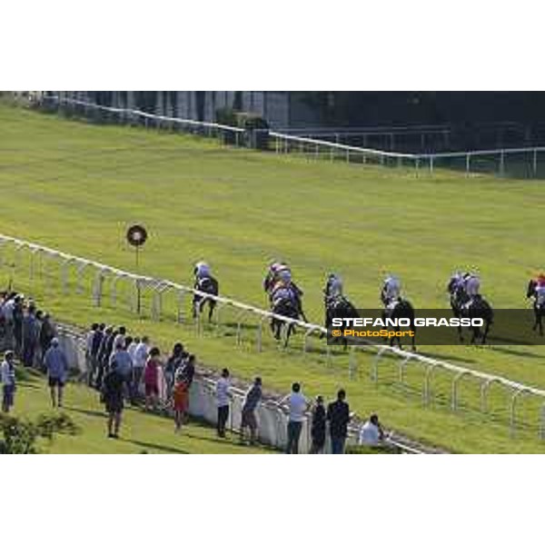 The runners of Premio Bersaglio Milano - San Siro galopp racecourse,7th june ph.Stefano Grasso/Trenno srl