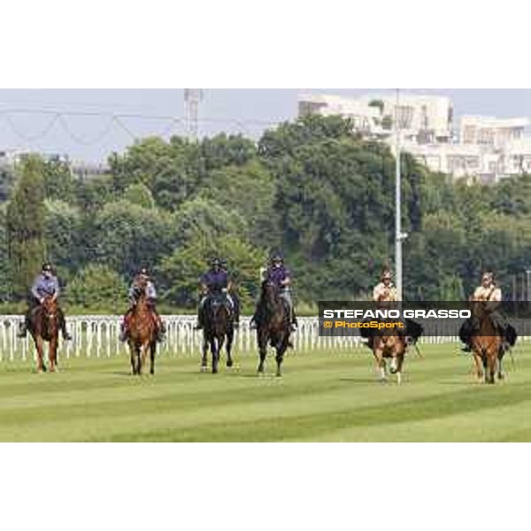 Milano - San Siro galopp racecourse,7th june ph.Stefano Grasso/Trenno srl