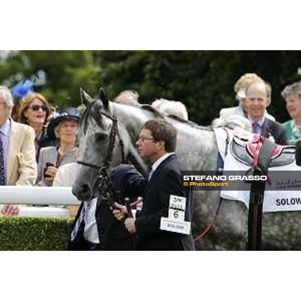 Solow winner of the Qatar Susses Stakes Goodwood,29th july 2015 ph.Stefano Grasso/QEF
