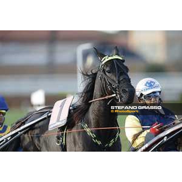 88° Derby Italiano del Trotto - Federico Esposito and Timone EK Rome - Capannelle trot racecourse, 11/10/2015 ph.Stefano Grasso