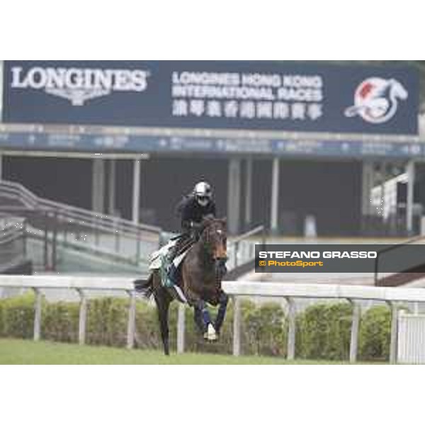 Longines Hong Kong International Races - morning track works at Sha Tin racecourse Flintshire Sha Tin racecourse,10th dec. 2015 ph.Stefano Grasso/Longines