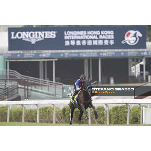 Longines Hong Kong International Races - morning track works at Sha Tin racecourse Sakura Gospel Sha Tin racecourse,10th dec. 2015 ph.Stefano Grasso/Longines