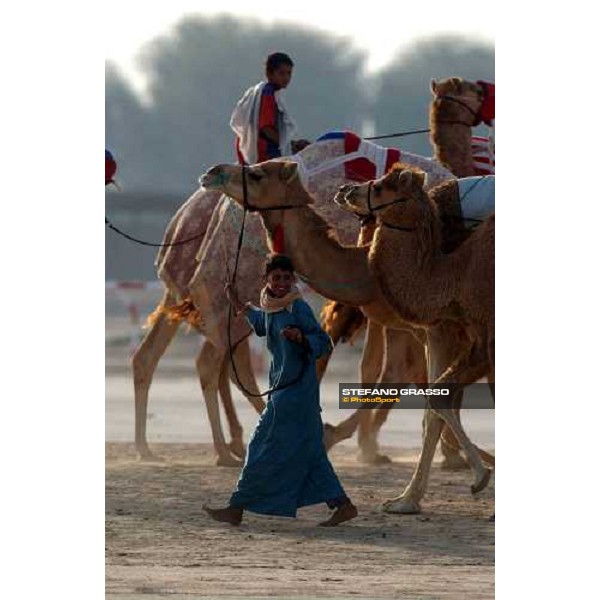 camels on training Dubai 28th march 2004 ph. Stefano Grasso