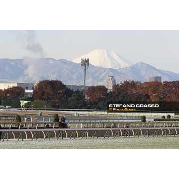The 36th Japan Cup in association with Longines - Morning track works at Fuchu racecourse - Erupt Tokyo,25th nov.2016 ph.Stefano Grasso