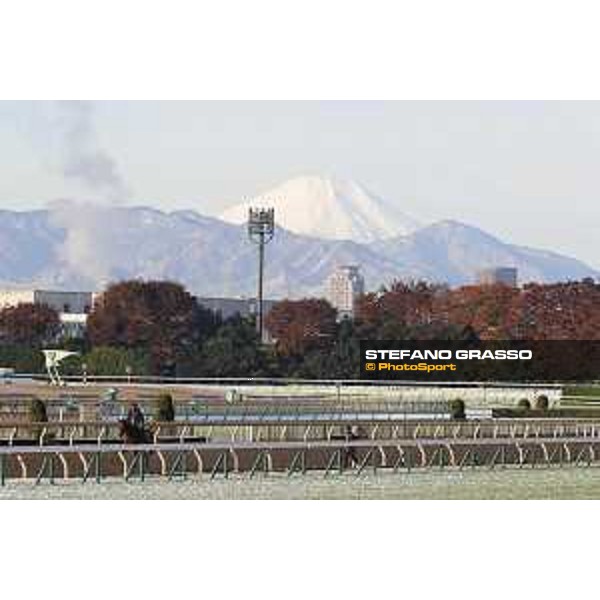 The 36th Japan Cup in association with Longines - Morning track works at Fuchu racecourse - Erupt Tokyo,25th nov.2016 ph.Stefano Grasso