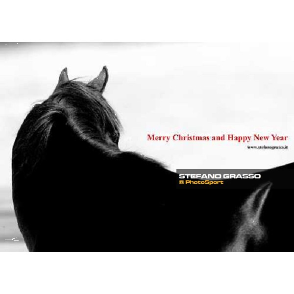 Merry Christmas and Happy New Year Kentucky 2006 ph. Stefano Grasso