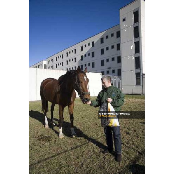 Riccardo Bruno accudisce uno dei cavalli del progetto \'Cavalli in Carcere\', alla casa di reclusione di Bollate Bollate, 27 febbraio 2007 ph. Stefano Grasso