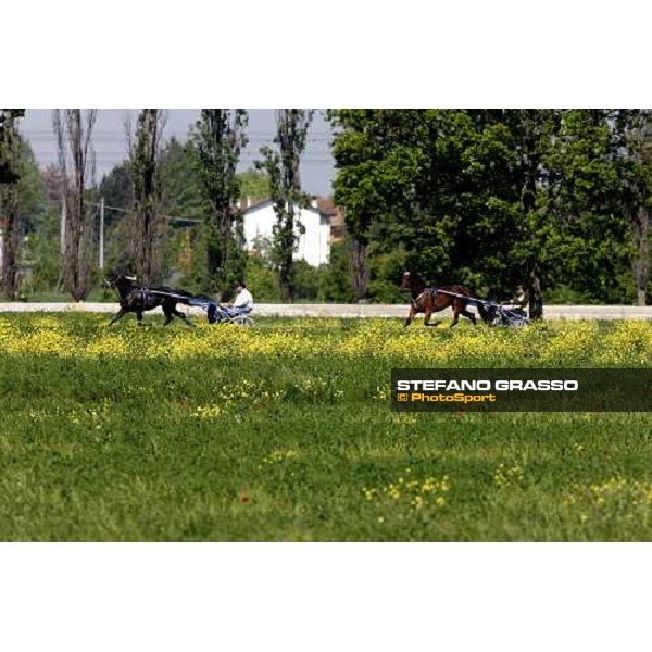 horses in training at Orsi Mangelli training center Anzola Emilia (Bo), 6th may 2008 ph. Stefano Grasso