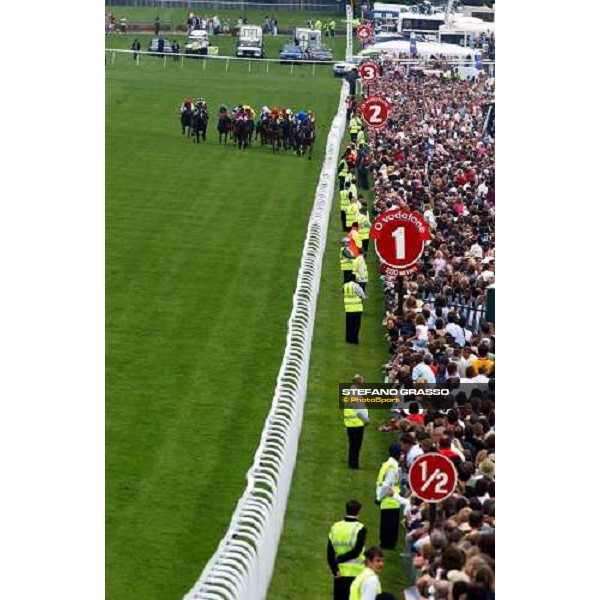 the straight at Epsom Derby Day 5h june 2004 ph.Stefano Grasso