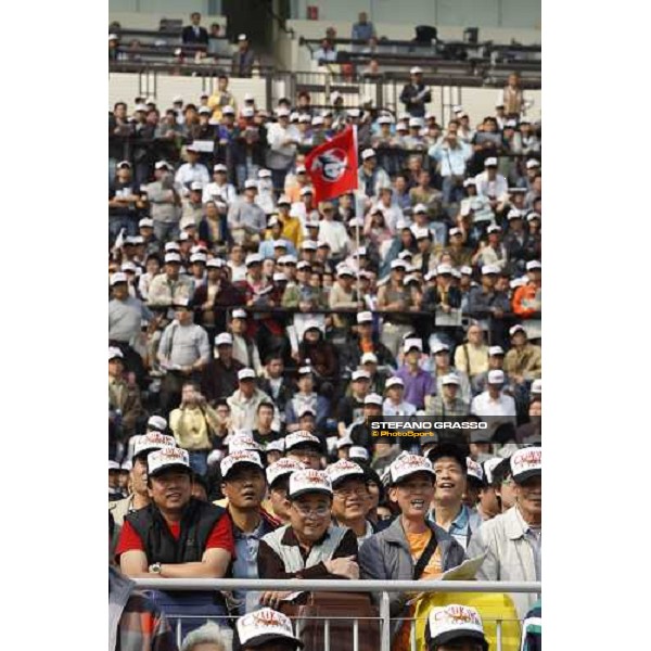 a day at the Cathay Pacific Hong Kong International races Hong Kong - Sha Tin racecourse, 15th dec. 2008 ph. Stefano Grasso
