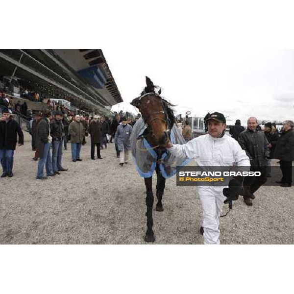 Orlando Sport comes back to the stable after winning the Prix du Luxembourg Paris - Vincennes, 24th january 2009 ph. Stefano Grasso
