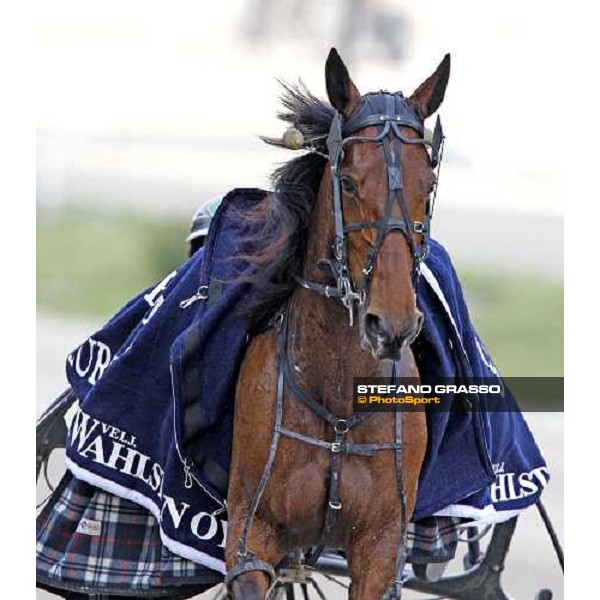 a close up for Lisa America after winning the Gran Premio d\' Europa Milan, 25th april 2009 ph. Stefano Grasso