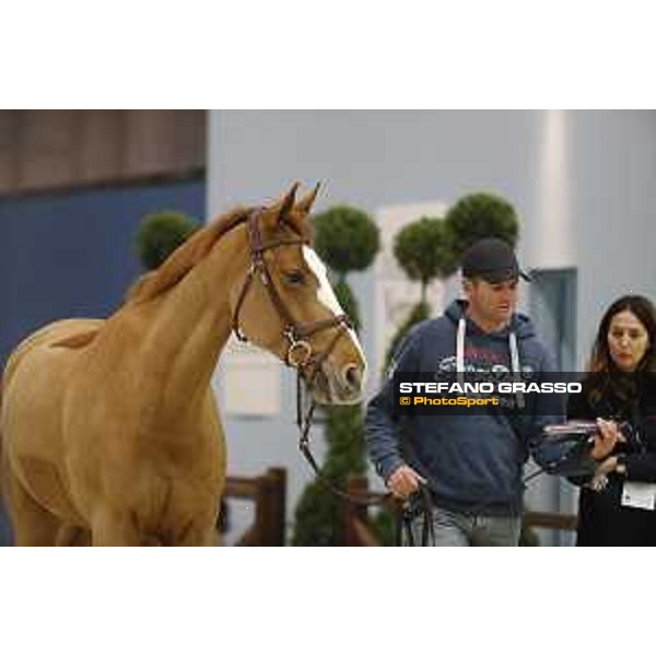 Horses inspection Jumping Verona 2019 Verona,7th nov. 2019 ph.Stefano Grasso/JV