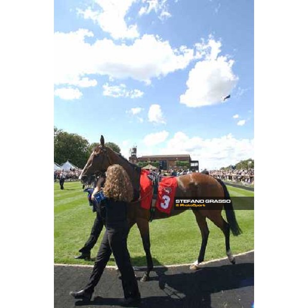 Soviet Song in the parade ring of The Falmouth Stakes Newmarket, 6th june 2004 ph. Stefano Grasso