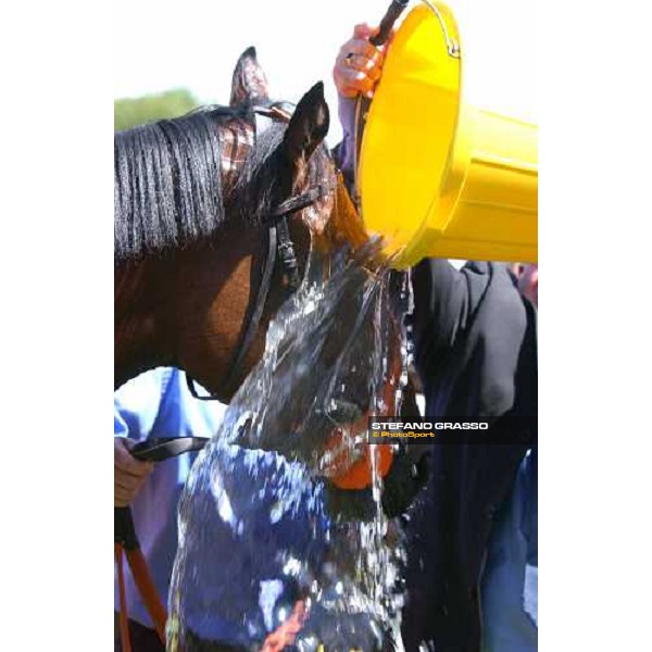 shower for Jewel in the Sand winner of the Chippenham Lodge Stakes Newmarket, 6th june 2004 ph. Stefano Grasso