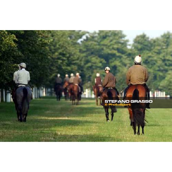 Luca Cumani\'s team at The Rowley Mile Newmarket 8th july 2004 ph. Stefano Grasso