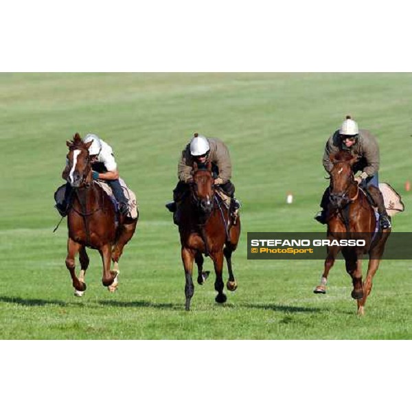 gallopps of Luca Cumani\'s team at The Rowley Mile Newmarket 8th july 2004 ph. Stefano Grasso