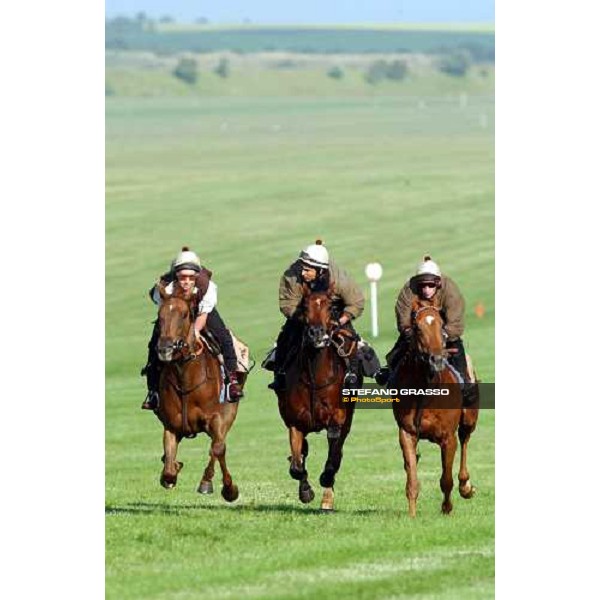 gallopps of Luca Cumani\'s team at The Rowley mile Newmarket 8th july 2004 ph. Stefano Grasso