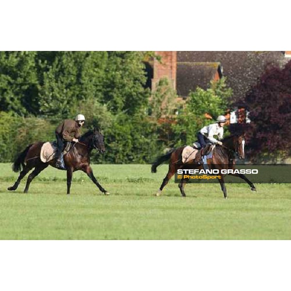 Salselon (1st from left) cantering on thursday morning Newmarket 8th july 2004 ph. Stefano Grasso