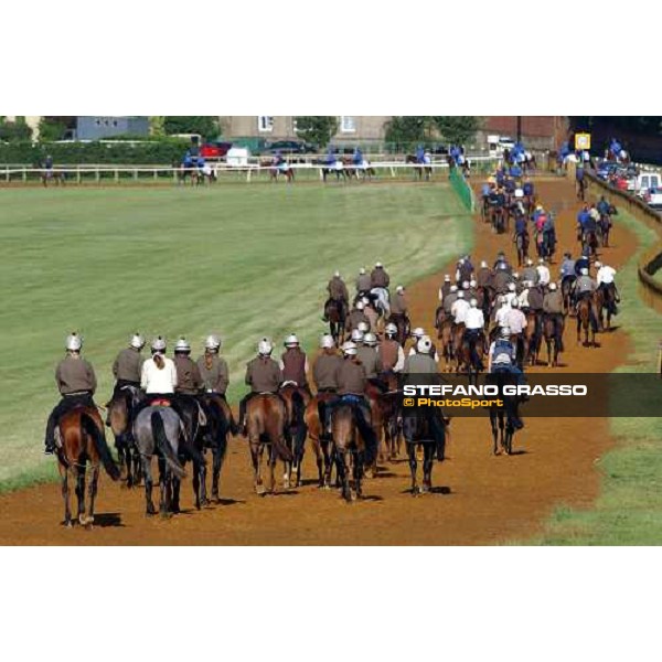Luca Cumani\'s team go home, after morning works Newmarket 8th july 2004 ph. Stefano Grasso
