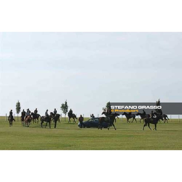 Luca Cumani\'s team after gallopps at The Rowley Mile Newmarket 7th july 2004 ph. Stefano Grasso