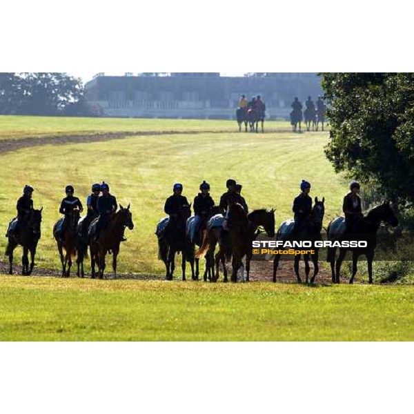 horses in training at Newmarket Newmarket 8th july 2004 ph. Stefano Grasso