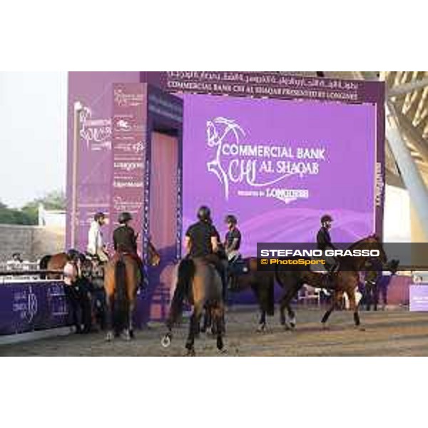 Longines Hathab Qatar Equestrian Tour - warm up Doha,26th February 2020 - ph.Stefano Grasso/Al Shaqab