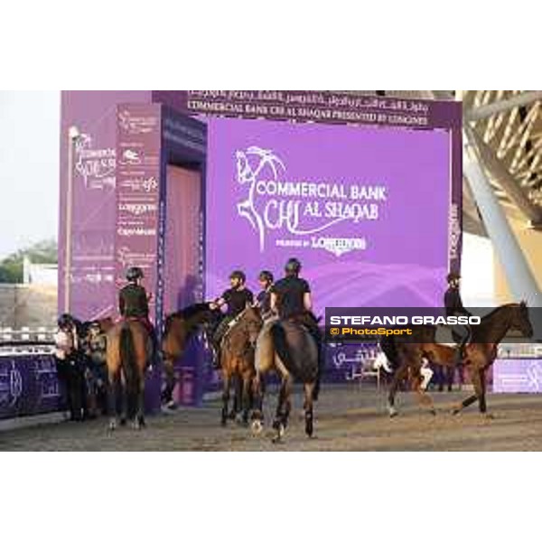 Longines Hathab Qatar Equestrian Tour - warm up Doha,26th February 2020 - ph.Stefano Grasso/Al Shaqab
