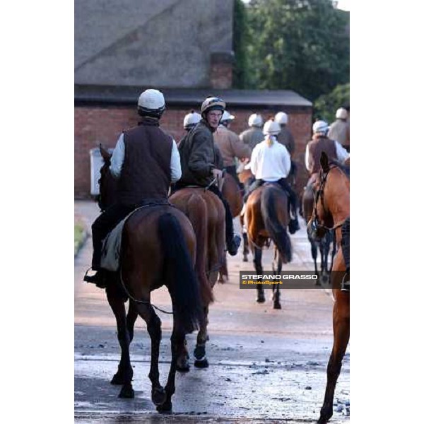 Luca Cumani\'s team going out to morning works Newmarket 8th july 2004 ph. Stefano Grasso