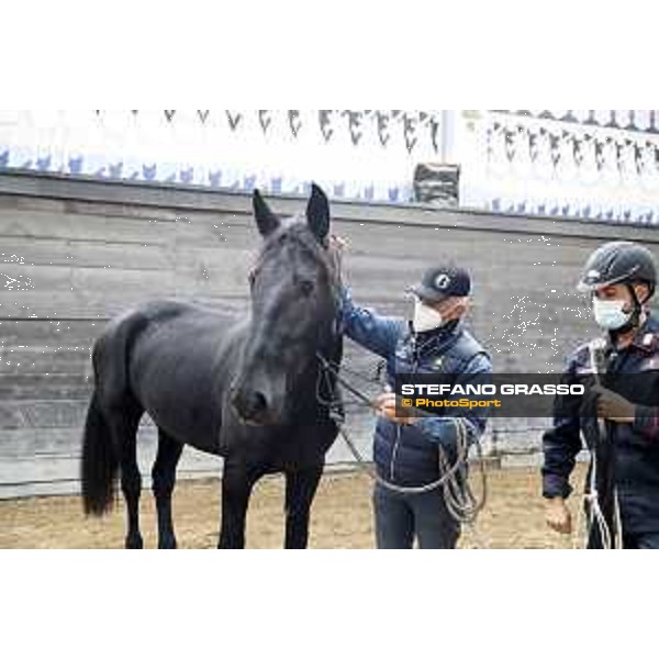 Esercitazione Carabinieri e Polizia a Cavalo per O.P. Roma, Tor di Quinto 15/10/2020 Ph.Stefano Grasso