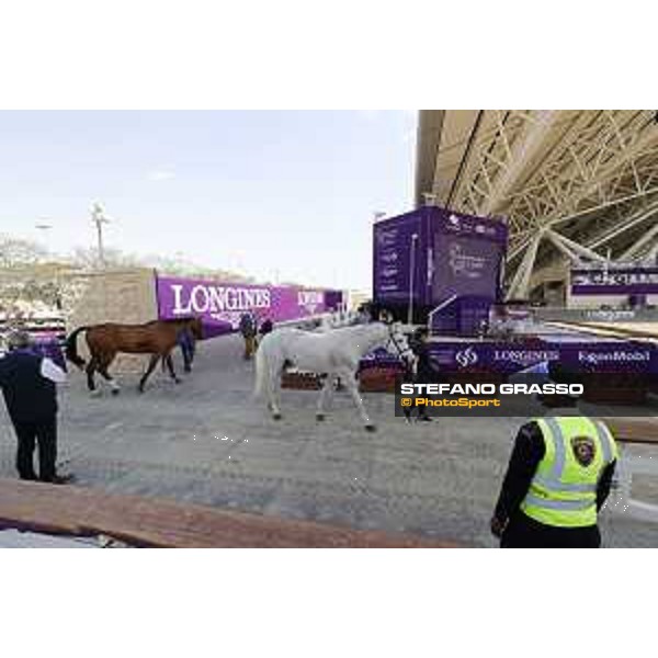 CHI of DOHA - CSI5* Horses Vet Check - DOHA, Al Shaqab - 24 February 2021 - ph.Stefano Grasso/CHI Al Shaqab 2021