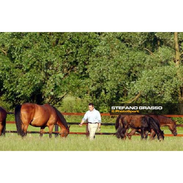 Giuseppe Rosati Colarieti with dams and foals at Brinkley Stud Brinkley 6th july 2004 ph. Stefano Grasso