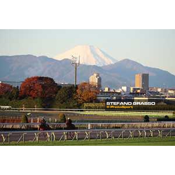 Japan Cup of Tokyo - - Tokyo, Fuchu racecourse - 24 November 2022 - ph.Stefano Grasso/Longines/Japan Cup morning track works at Fuchu racecourse - Simca Mille and Onesto - Fuji San