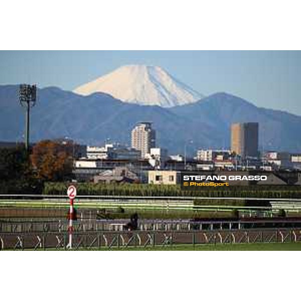 Japan Cup of Tokyo - - Tokyo, Fuchu racecourse - 24 November 2022 - ph.Stefano Grasso/Longines/Japan Cup morning track works at Fuchu racecourse - Tunnes