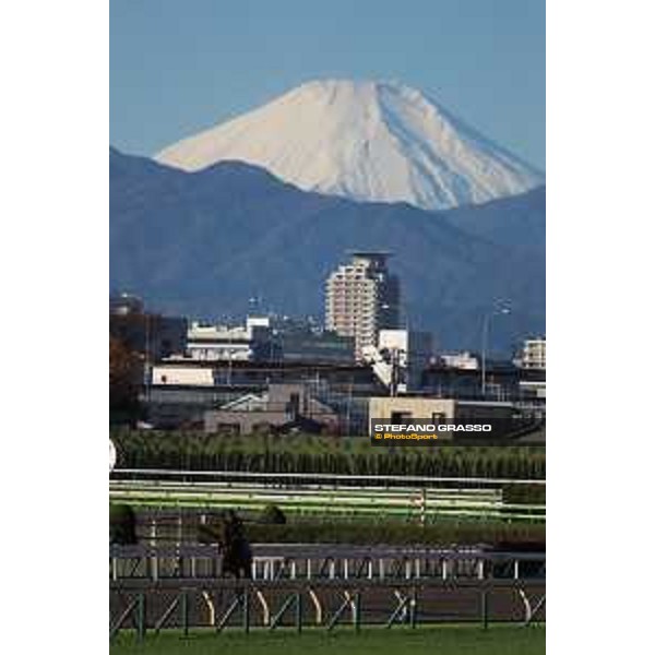 Japan Cup of Tokyo - - Tokyo, Fuchu racecourse - 24 November 2022 - ph.Stefano Grasso/Longines/Japan Cup morning track works at Fuchu racecourse - Tunnes and the Fuji San