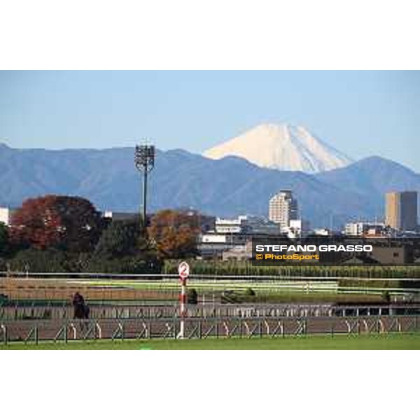 Japan Cup of Tokyo - - Tokyo, Fuchu racecourse - 24 November 2022 - ph.Stefano Grasso/Longines/Japan Cup morning track works at Fuchu racecourse - Tunnes and the Fuji San