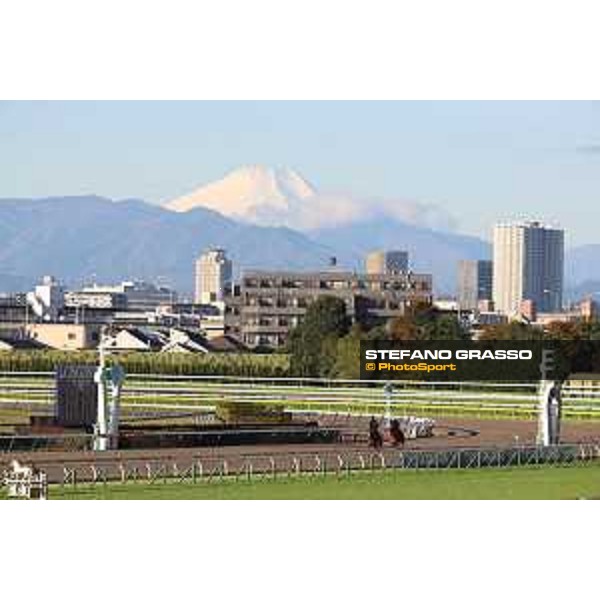 Japan Cup of Tokyo - - Tokyo, Fuchu racecourse - 25 November 2022 - ph.Stefano Grasso/Longines/Japan Cup morning track works - Simca Mille and Onesto