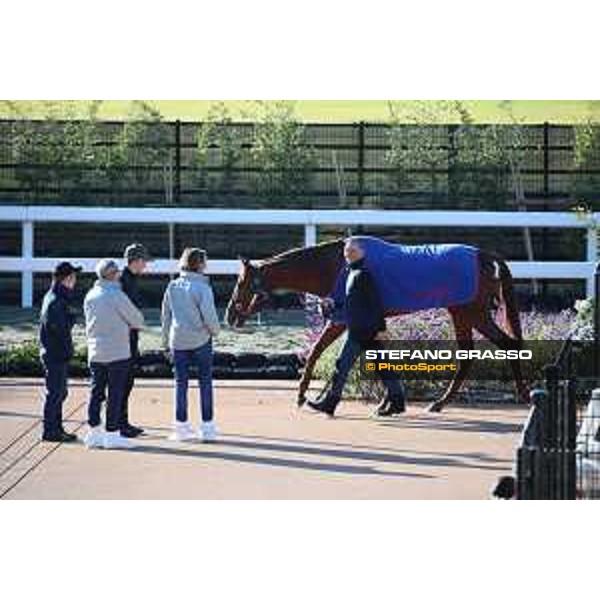 Japan Cup of Tokyo - - Tokyo, Fuchu racecourse - 25 November 2022 - ph.Stefano Grasso/Longines/Japan Cup Pieter Schiergen and Tunnes walking in the quarantine stable