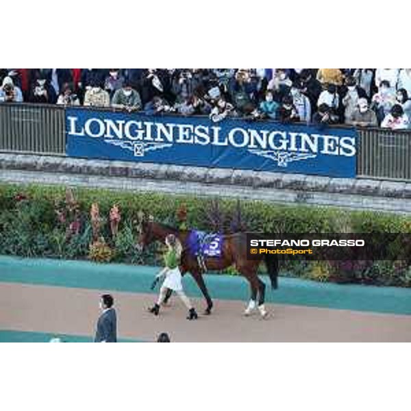 Japan Cup of Tokyo - - Tokyo, Fuchu racecourse Grand Glory in the paddock of the 42nd Japan Cup - 27 November 2022 - ph.Stefano Grasso/Longines/Japan Cup
